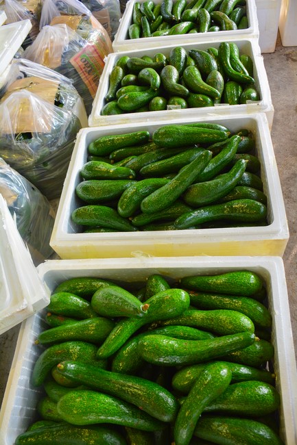 Continuing to support people in need in the Covid-19 pandemic of Hoang Phap Pagoda (series 4)